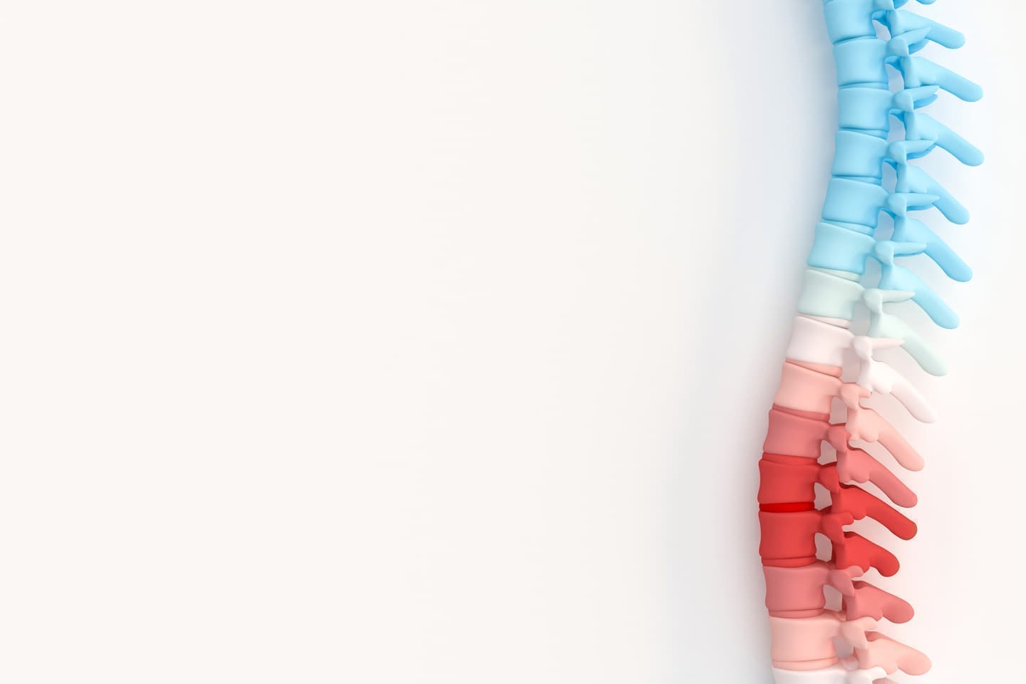 大阪市　骨粗鬆症