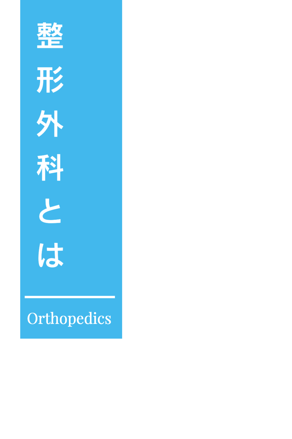 東成区　整形外科